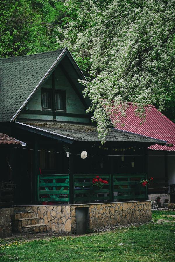 Villa Vikendica,, Tadic,, Ovcar Banja Exterior foto
